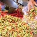 Harga cabai di Balikpapan