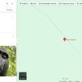 Netizen Indonesia Serbu Bintang 1 di Google Maps Hutan Amazon Brasil
