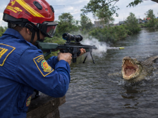 Marak Buaya Serang Orang, Disdamkartan Bontang Usul Pengadaan Senapan Bius Buaya